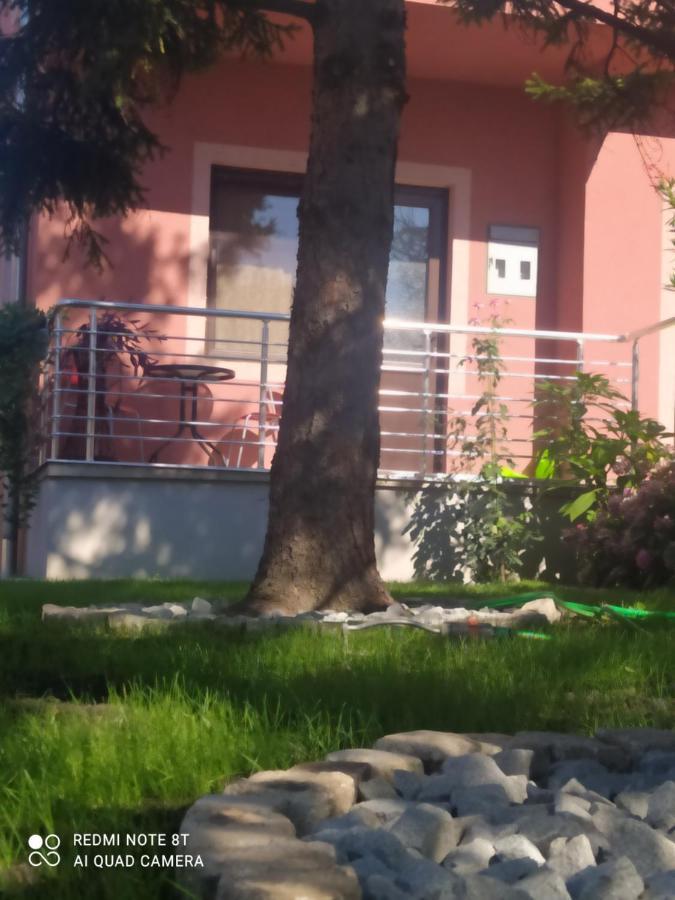 Studio 2 Golubac Eksteriør billede